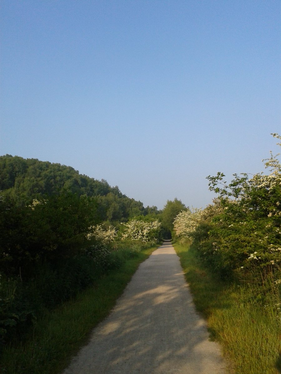 michael bamber tweet media