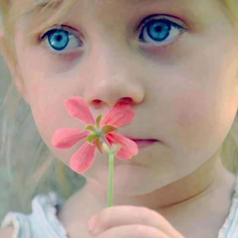 majic4040's tweet photo. جَمَال الرُوح ؛
هُوَ الشّيء الوَحِيد الذِي لا يَستَطِيعُ الزّمَان أن ينَال مِنه🌼🌼🍁🍁🌼🌼 https://t.co/VRrV4ld8AO