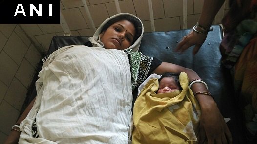 View image on Twitter