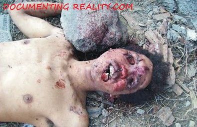 gay world in dominican republic community gay hot party type