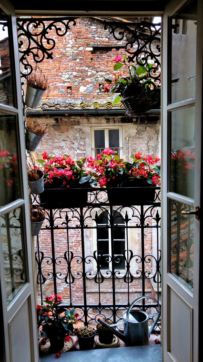 gosforthdecor tweet picture