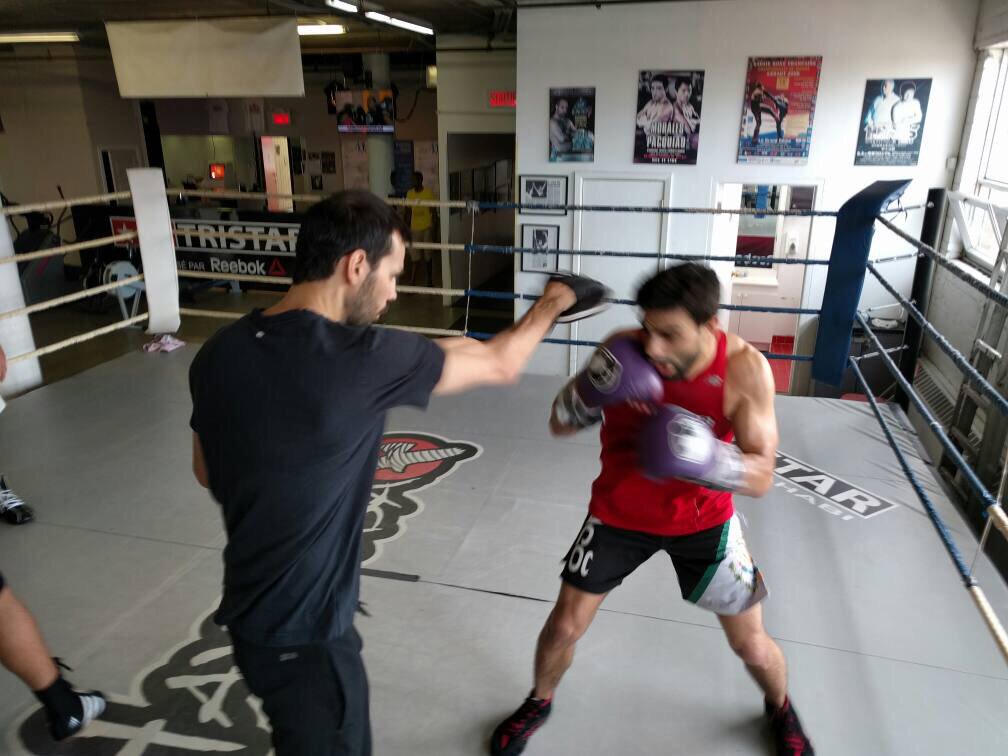 Hercules Kyvelos (herculesboxing) Twitter