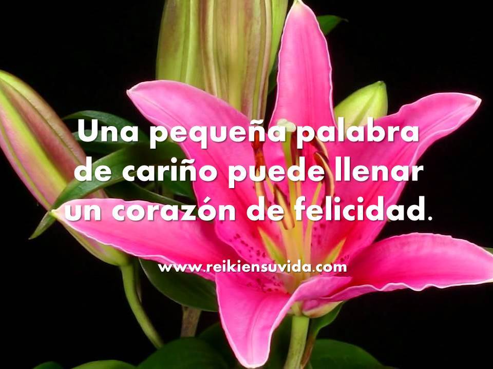 javier_robas's tweet photo. Buen día! Hoy te propongo vibrar en el quinto principio de Reiki. Sé amable con los demás! https://t.co/YkSFiDIEuD