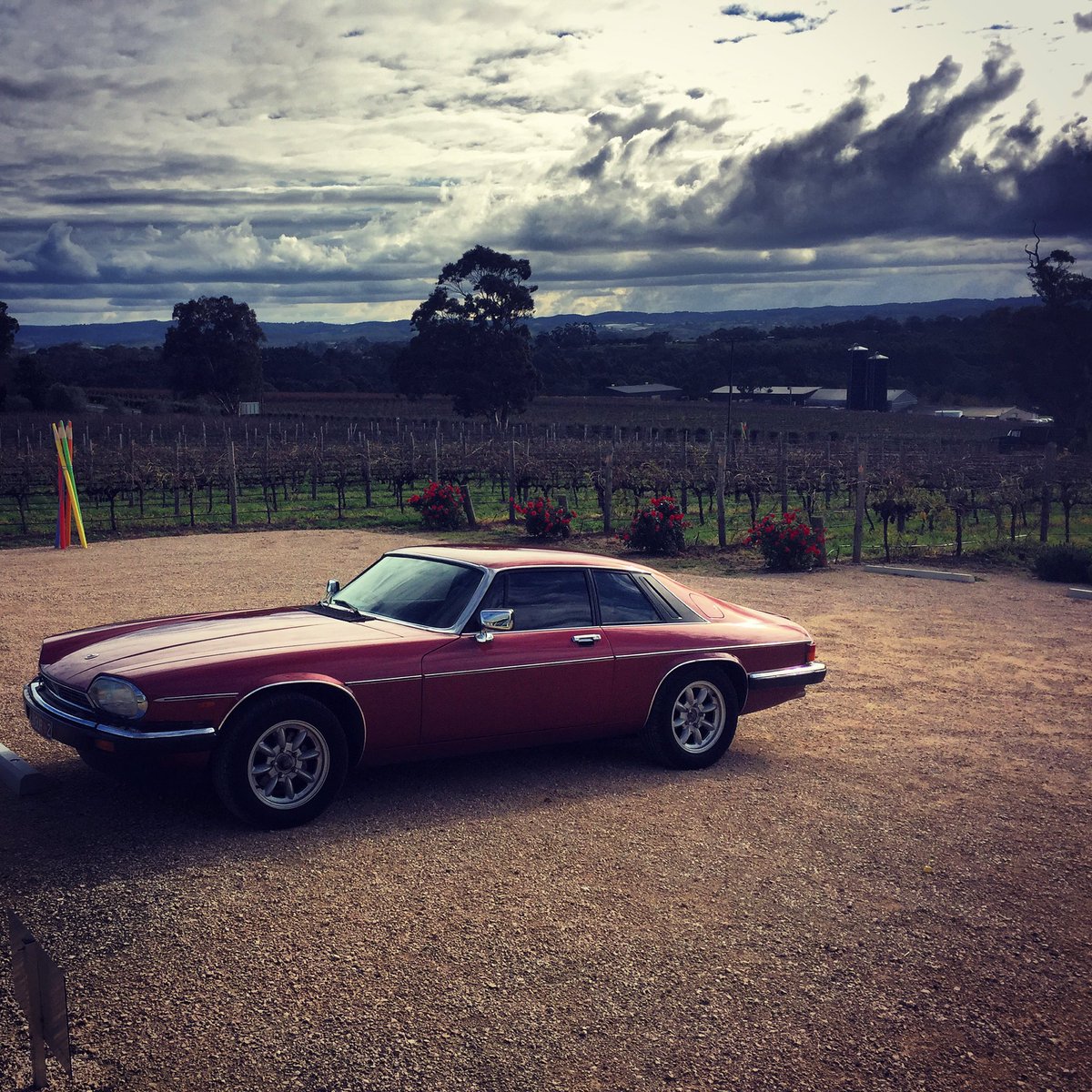 TheSocSommelier's tweet photo. Cruising around the #AdelHills in #style today! #Wine tasting at @ArtWineEstate for their #PalletSale. #Jaguar #V12 https://t.co/eLDI4gKxx7