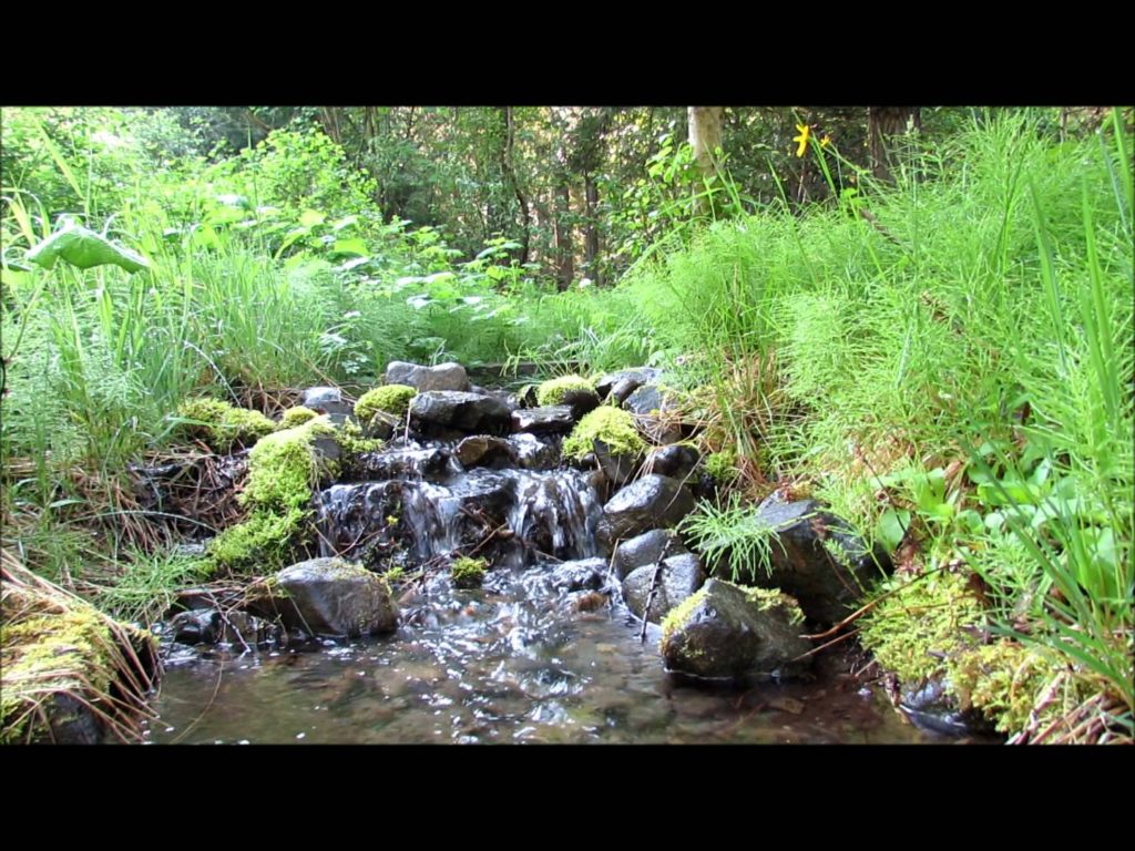 EmpireOfRelax's tweet image. goo.gl/6XjSb5 --&amp;gt; Soothing Sounds of ... #Anxietystr #HelpSleep #MeditationSounds #NatureSounds