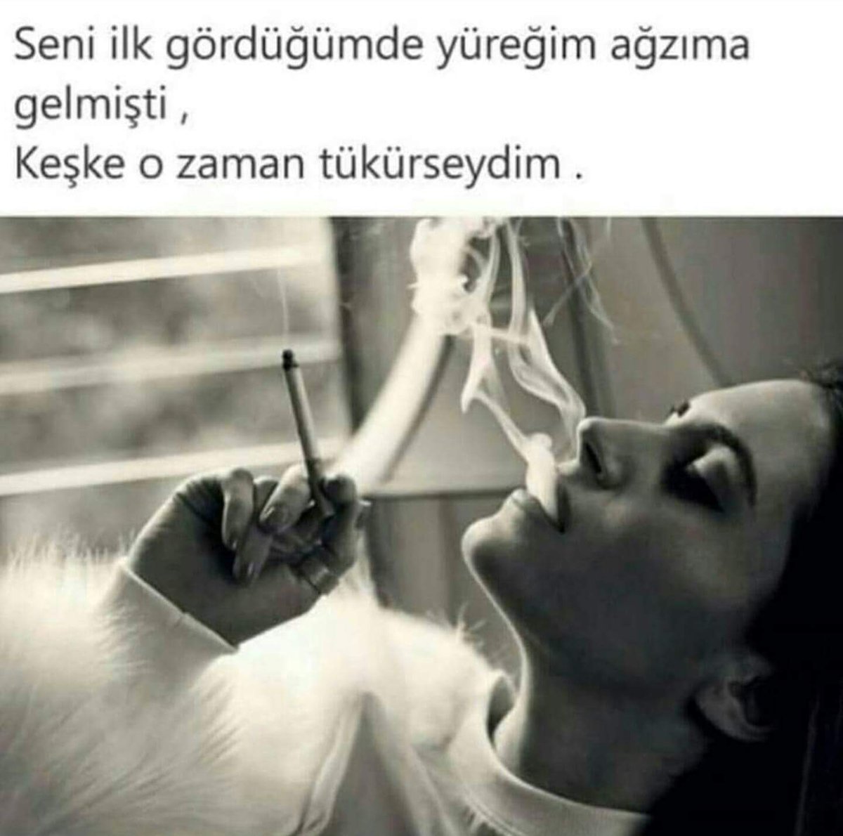 Gozen (@halilgozenn) on Twitter photo 