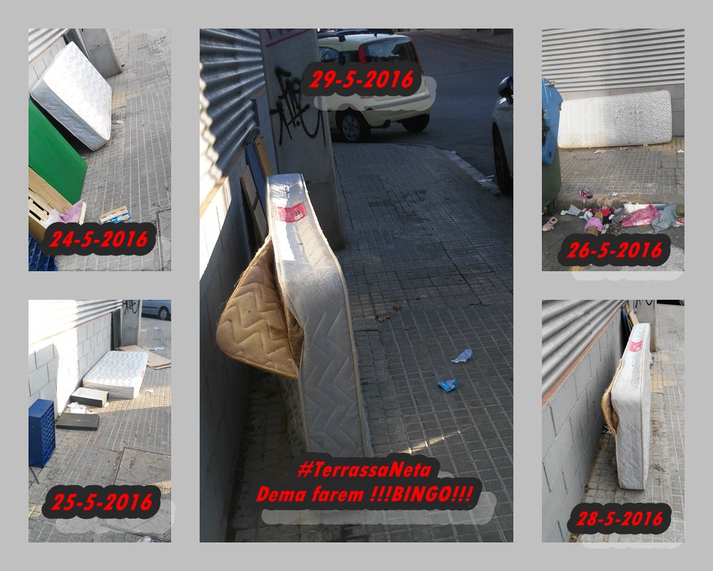 #TerrassaNeta demá farem BINGO @ogvilla <a href="/ocmterrassa/">OCMTerrassa</a> <a href="/conselltrs/">Consell Entitats TRS</a> <a href="/GarosPavia/">jaume pavia garos</a> <a href="/AVSantPereNord/">AV de Sant Pere Nord</a> <a href="/clariana_ramon/">Ramon Clariana Calvo</a>
