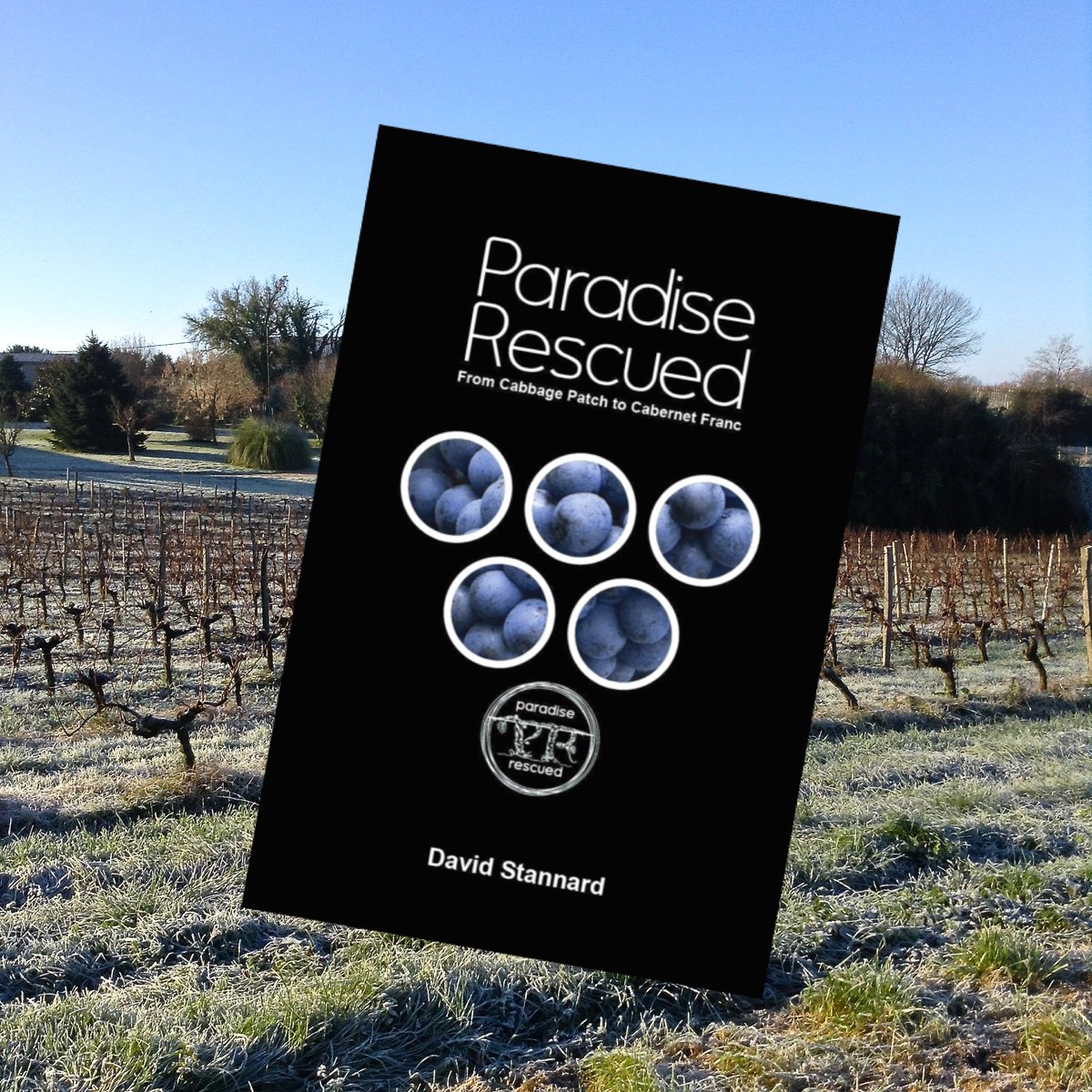 ParadiseRescued's tweet photo. From Nightmare to Niche! Let us share the learning from our #Success journey https://t.co/vKTmwG4DAH https://t.co/rRZnotCi8B