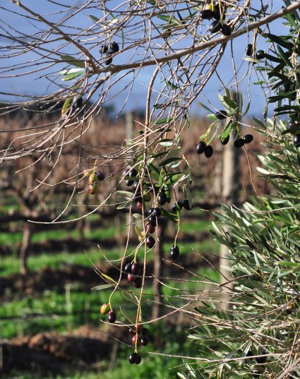 flavourlogic tweet media