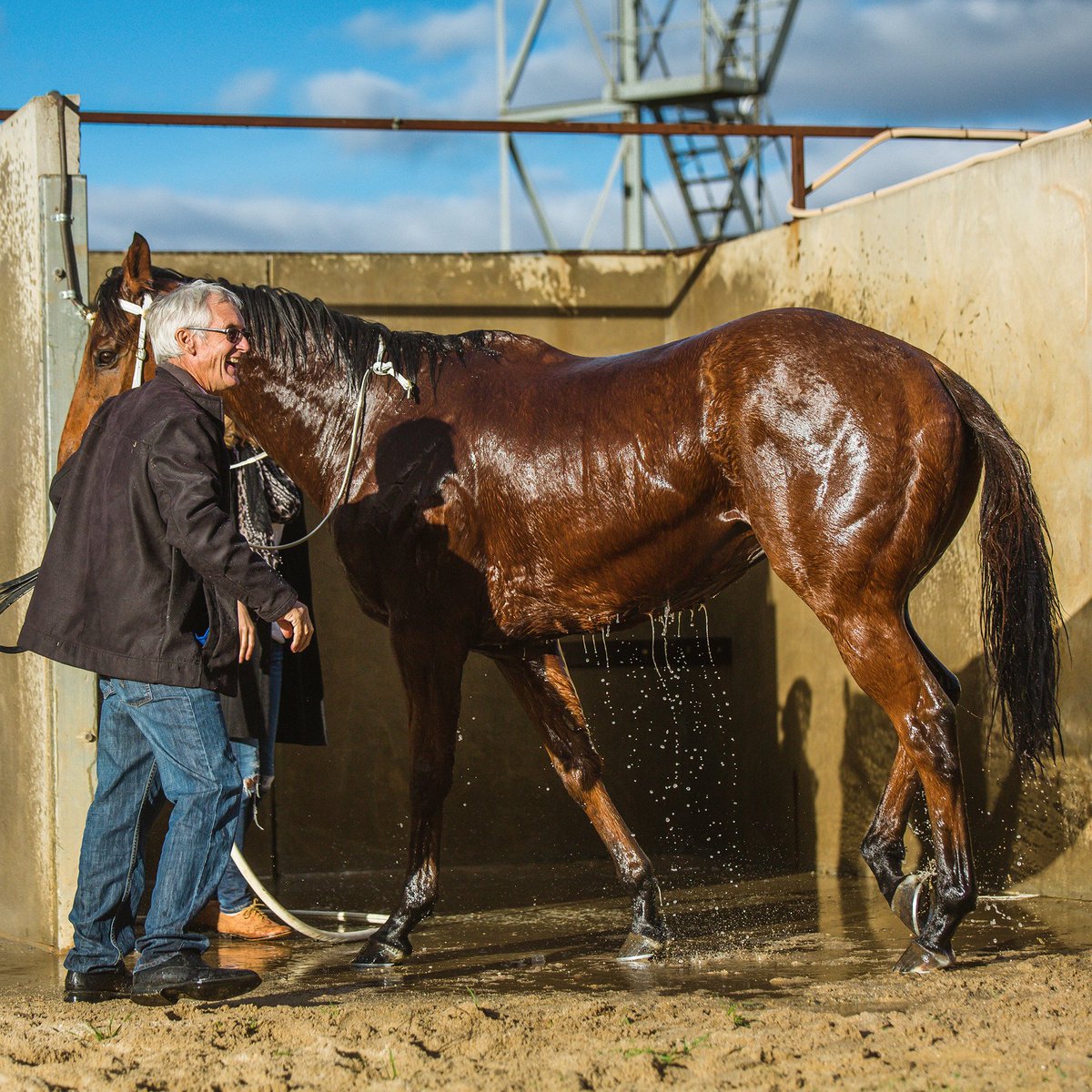 riv_snappers's tweet photo. Wayne Campbell washes #Leveraction after the #Echuca-trained galloper took out the 2016 #EchucaCup. #racing https://t.co/PF0hyD7ZiX
