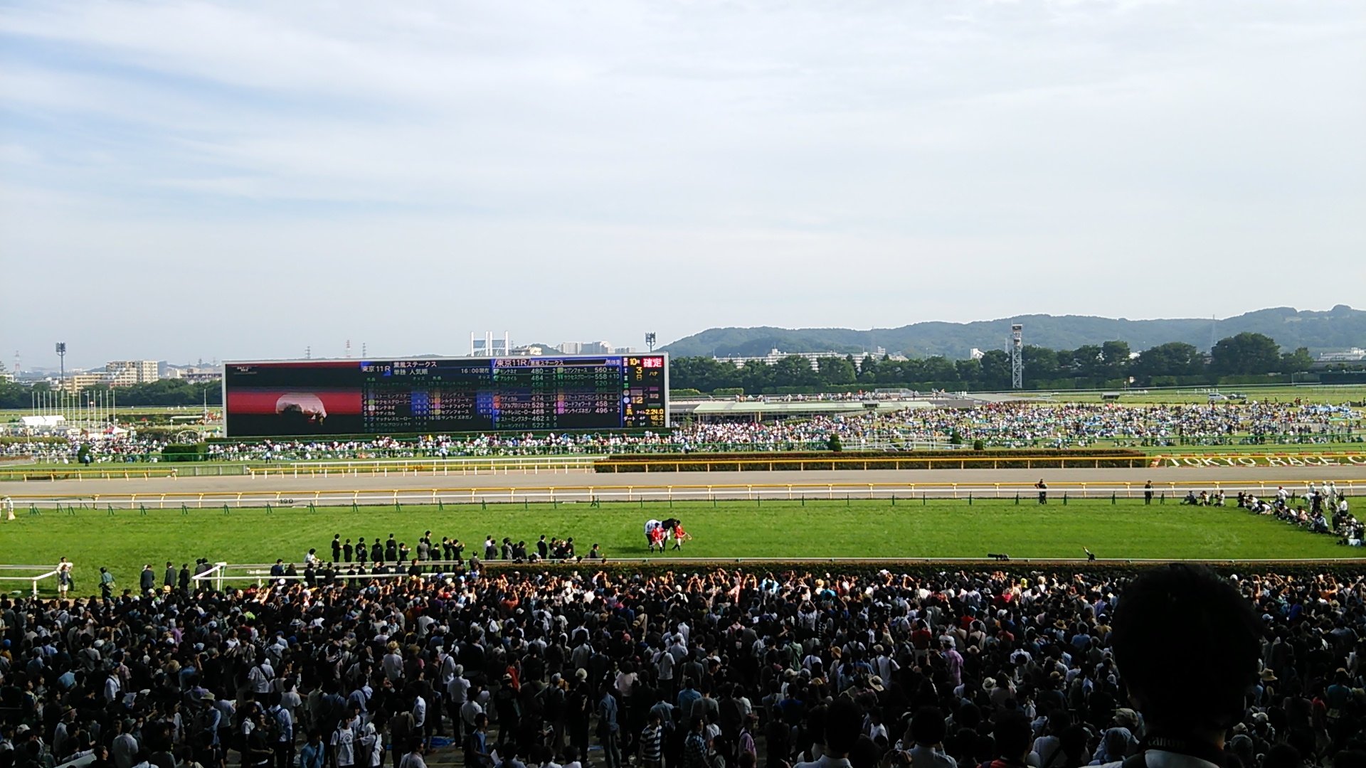 タカツカ あーそうか 三強とか混戦とか言われているときは騎手や厩舎じゃなくて金子さんの馬を選んどきゃ良いんだな そして思うのはまたノーザンかよ 日本ダービー