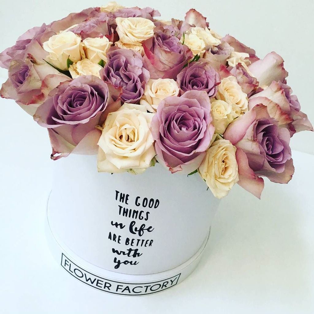 AU_Adventure's tweet photo. Everything is better with you...#flowerfactory #flowerfactory_ #flowers #flower #rose #goodthings #quotes #flowerbo… https://t.co/XQcTQpuDEH
