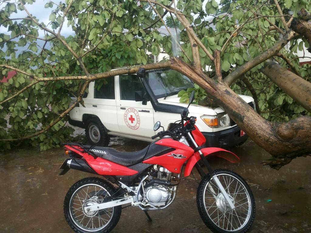 Tree uprooted by strong wind leaving <a href="/RedcrossUganda/">Uganda Redcross</a>  response car destroyed in Bundibugyo@ntvuganda <a href="/newvisionwire/">The New Vision</a>