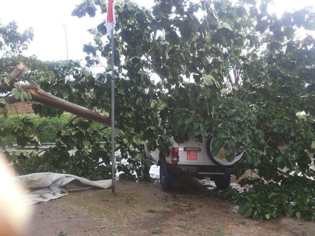 <a href="/RedcrossUganda/">Uganda Redcross</a> emergency operations car hit by a tree uprooted in a heavy down in Bundibugyo #heavyrains again