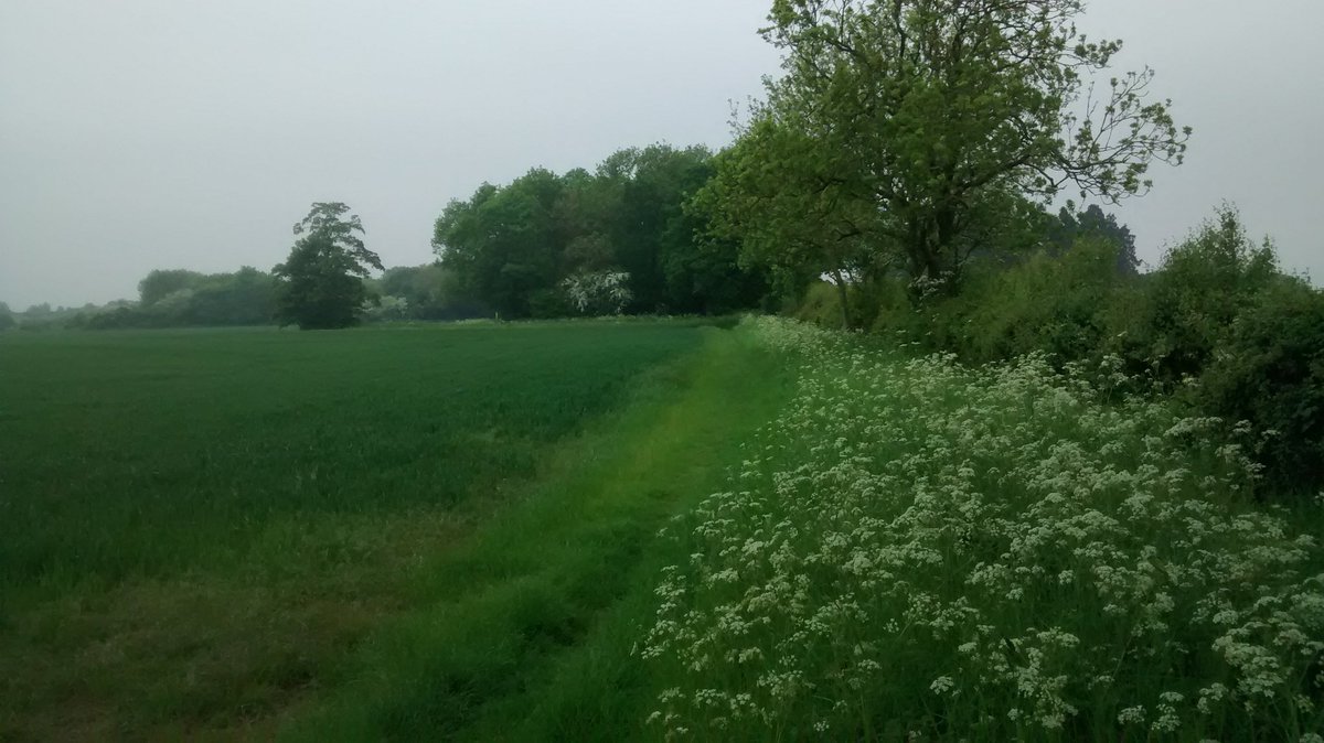 Toby_Bruce's tweet photo. Plenty of biodiversity @FarmcareTrading Stoughton https://t.co/HN1p23Q6a1