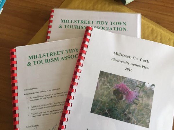 millstreettidyt's tweet photo. 2016 Application Form ready to go. https://t.co/w47d4gkHas https://t.co/rzjBJgVWAr