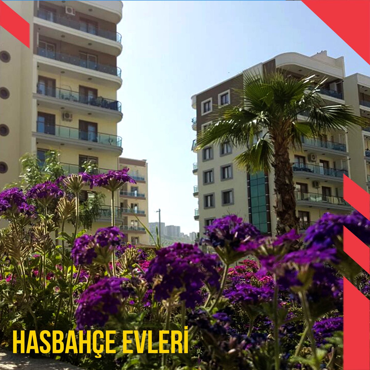 AtesogluYapi's tweet photo. Hasbahçe Evleri'nde oturanlar böyle bir sabaha uyandılar. Mutlu Pazarlar 🌴 🌺 https://t.co/1M3heQaQJO