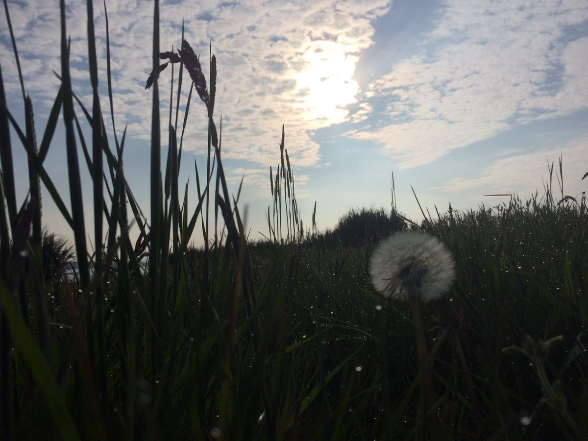 Belmullet CGS tweet media