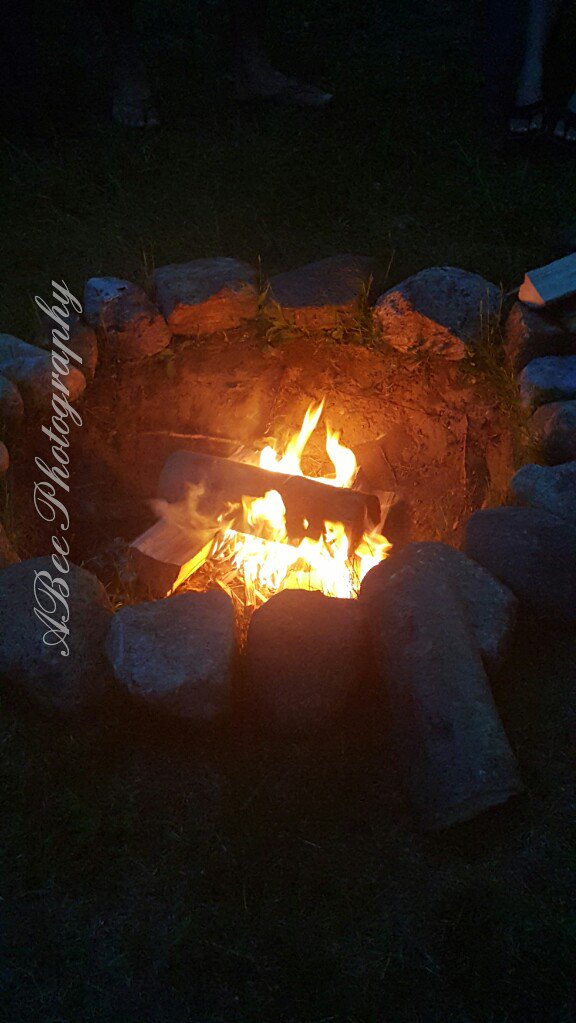 ABeePhoto tweet picture