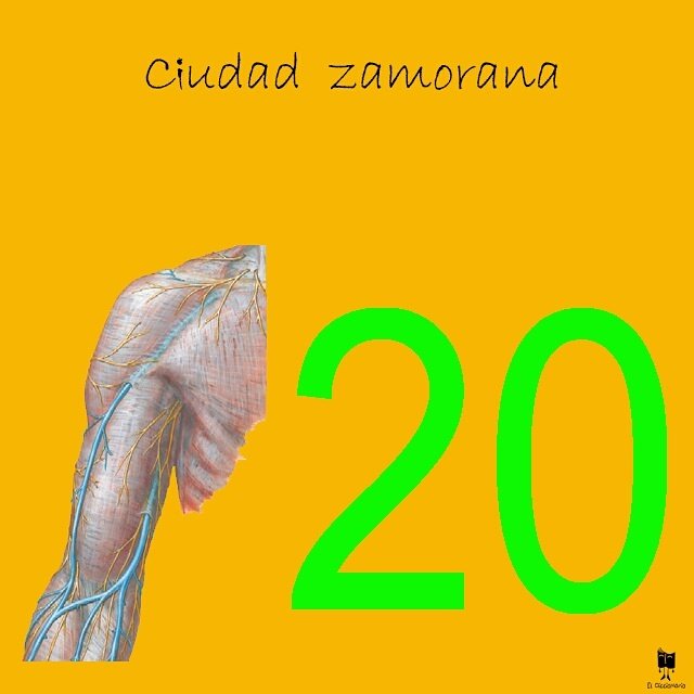 ElDicciomario's tweet photo. Todos conocemos pueblos con nombres curiosos. Al mio le he hecho un homenaje en forma de #pictogramario. @AytoZamora https://t.co/KTPOaQ3oJk