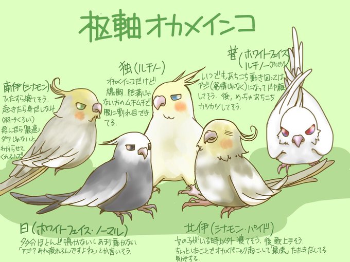 オカメインコのtwitterイラスト検索結果 古い順