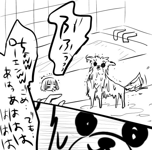 ポメって洗うとしぼむよねっていうローリツ 