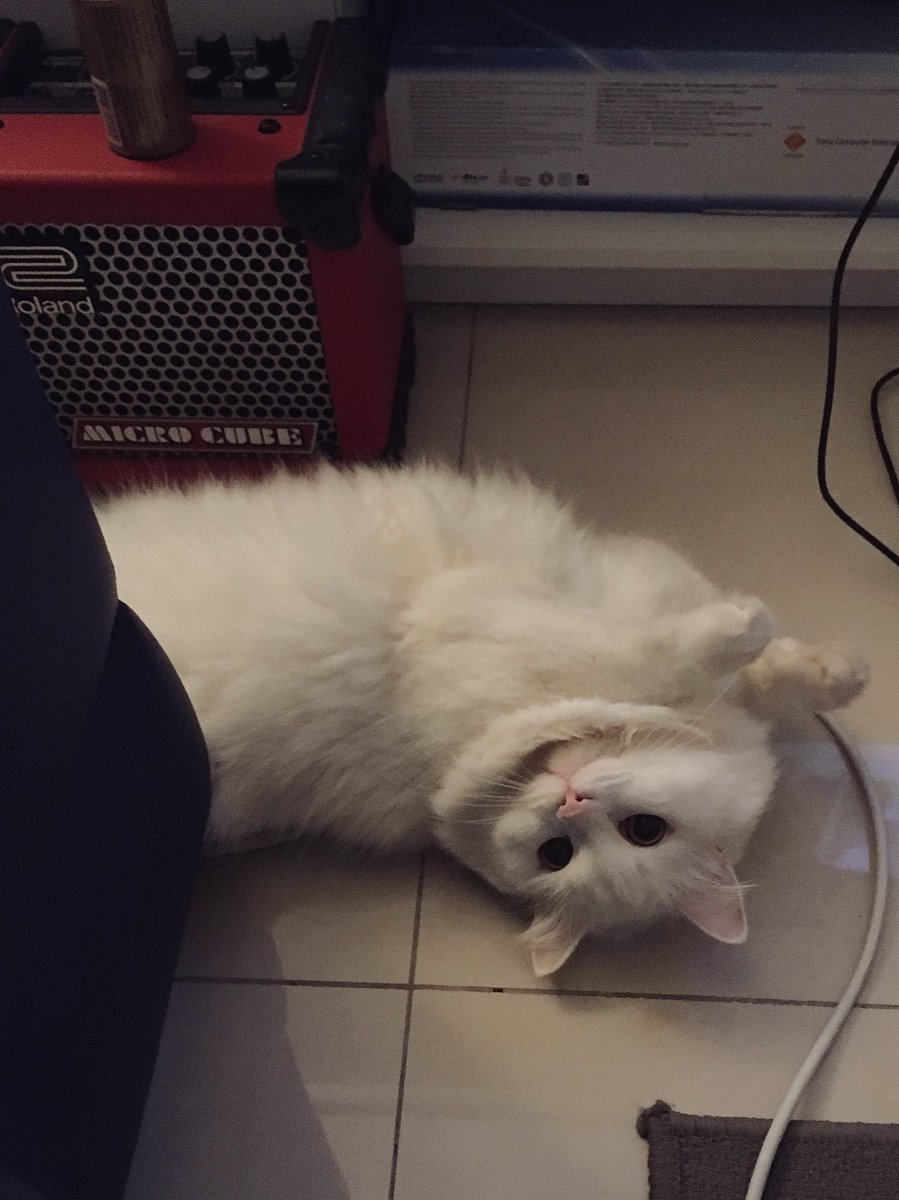 syfqhjll's tweet image. His reaction everytime i call him 😒 #notfallingforthat