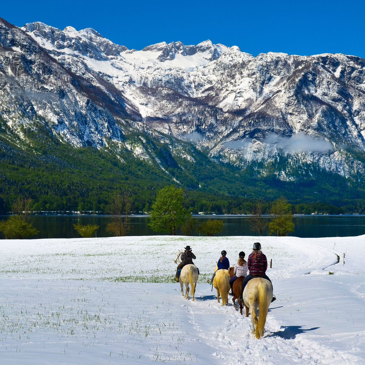 Discover Slovenia tweet media