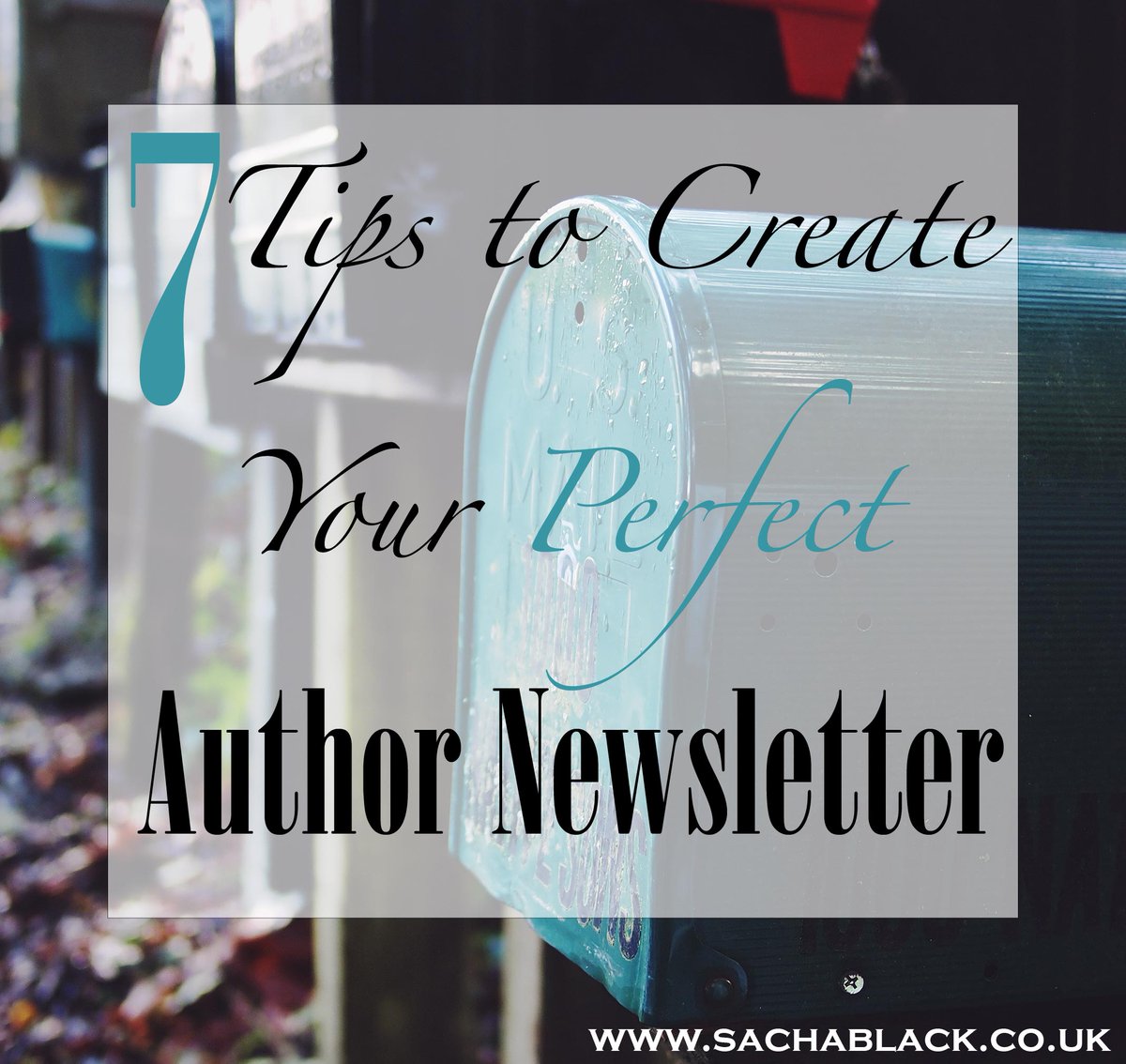 sacha_black's tweet photo. 7 Tips to Create Your Perfect Author Newsletter https://t.co/Bjr6zbape3 #SundayBlogShare #amwriting https://t.co/UpShPFXjTh