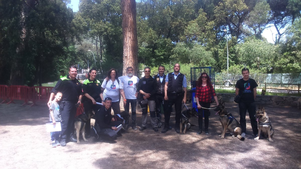 AGCPLE1's tweet photo. Exhibicio K9 amb la Creu Roja Argentona @PoliciaMalgrat, @ViladeSalt, @heroesde4patas, Esplugues, @platjaropolicia https://t.co/ulpYjKdYLx