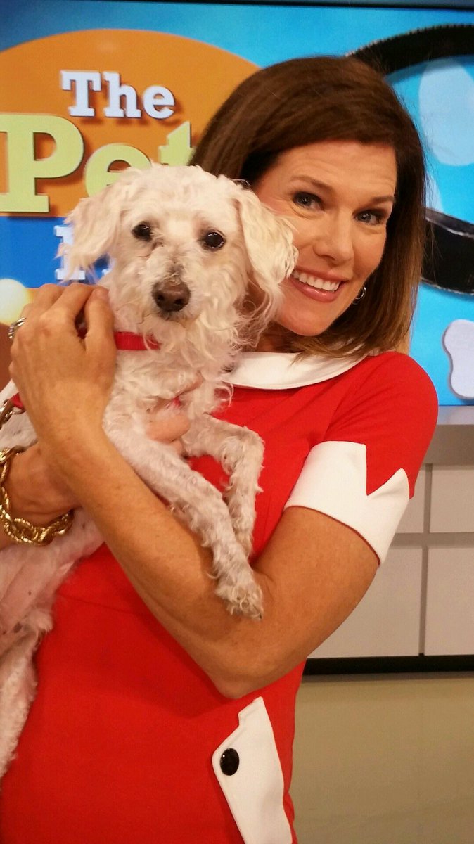 This scraggly boy was found matted &amp; abandoned! 😥 Meet him on The Pet Parade in 5mins! #wbz
