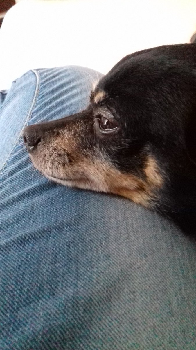 pkgtyfg's tweet image. заечка