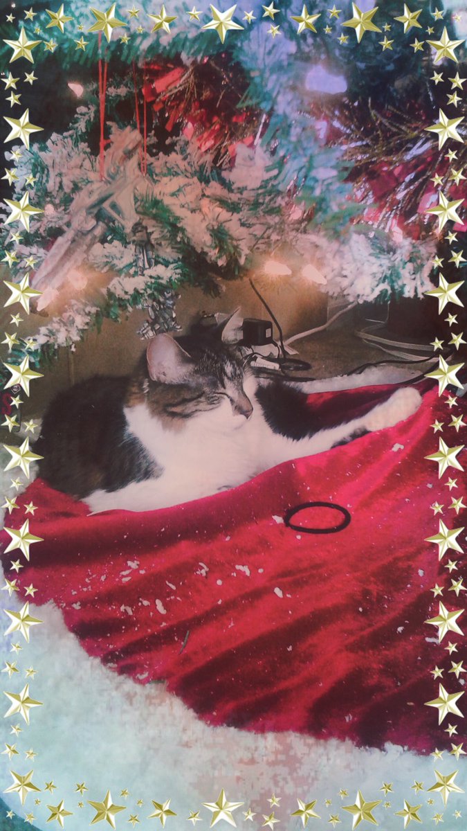 Fireflies208's tweet photo. #my_peace I love my #kittycat https://t.co/kueIDY6oGw