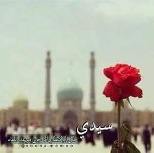 على أرصفة العشق ينتظر قلبي #سيده 
أشهد أن قلبي لا يعشق #سواك
#يامهدي