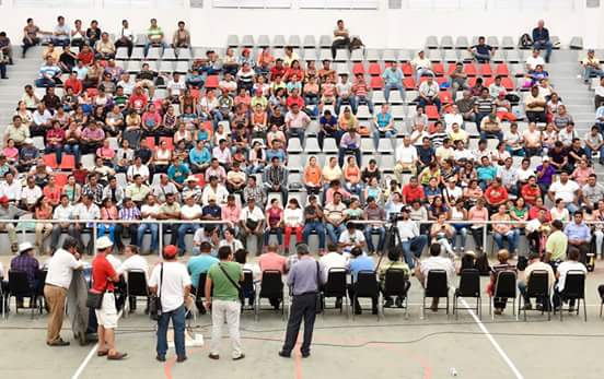 Chiapas Paralelo tweet media