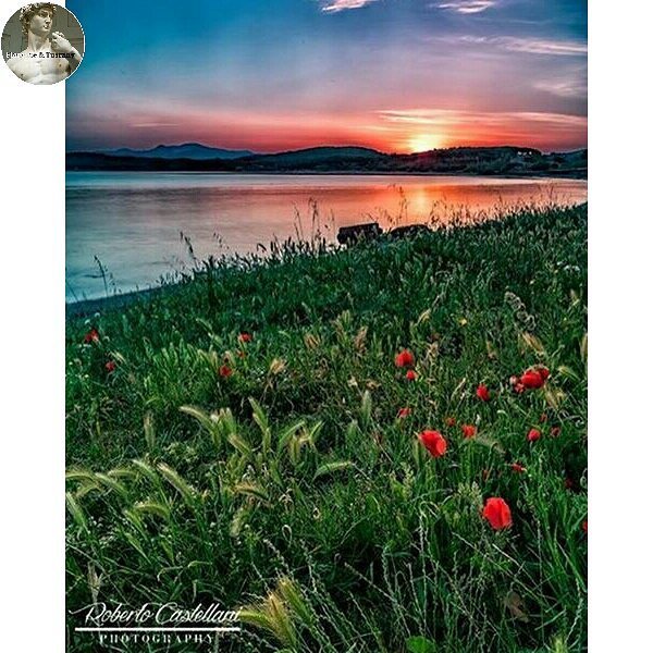 Pic by @florenceandtuscanyforyou: Thousand Faces of #Tuscany The #enchanting #gulf of Baratti by #sunset ❤💛❤💛❤ CONG…