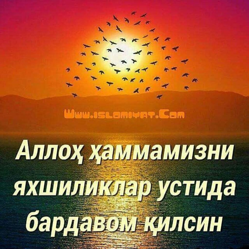 Аллох учун сизга илиндим