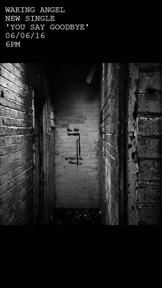 😎😎😎😎😎😎😎😎😎😎😎