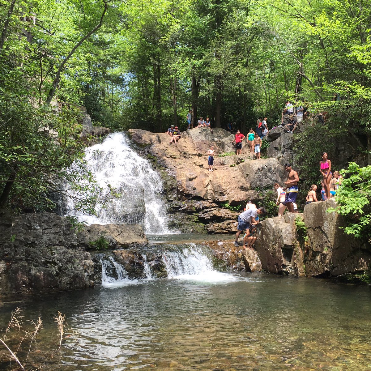 Fishy_Cakess's tweet photo. #HawkFalls https://t.co/veI41q0m5D