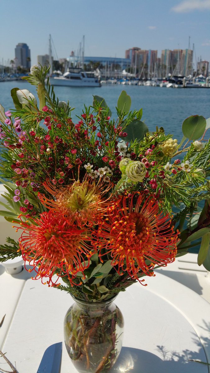 farmbox's tweet image. A dearest customer sent us this beautiful picture! That's good life! Get Blooming:  ow.ly/FFTu300CFfG