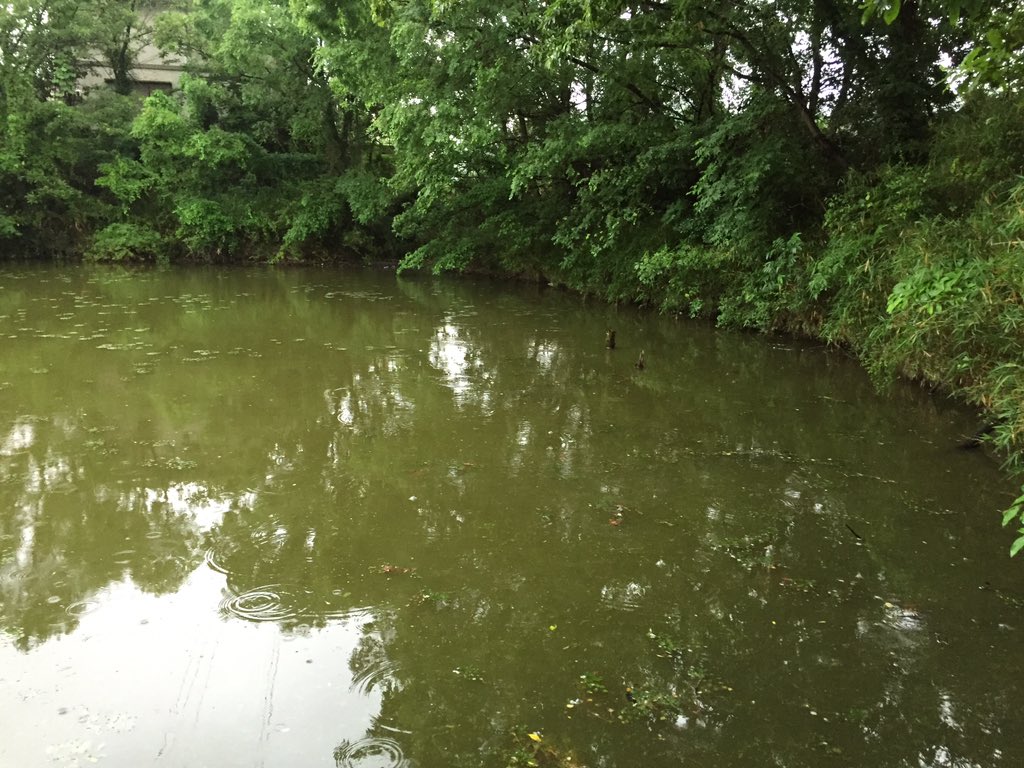 basuxtuli's tweet image. 今日も池いったど
レッグワーム ﾁｮﾝﾁｮﾝﾊﾞｼｬﾝ 速攻や