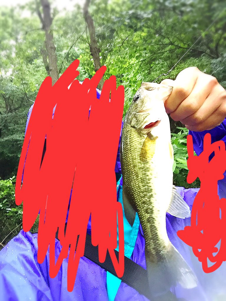 basuxtuli's tweet image. 今日も池いったど
レッグワーム ﾁｮﾝﾁｮﾝﾊﾞｼｬﾝ 速攻や