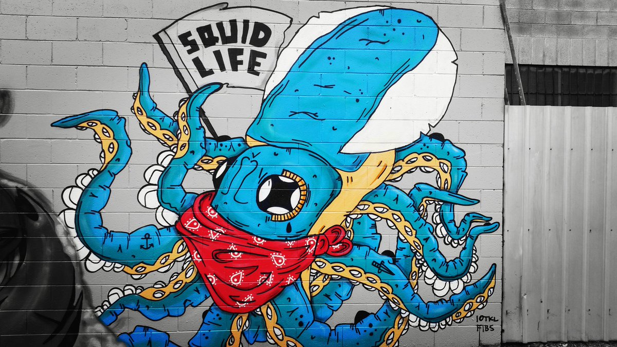 It's a jungle ... tweet media