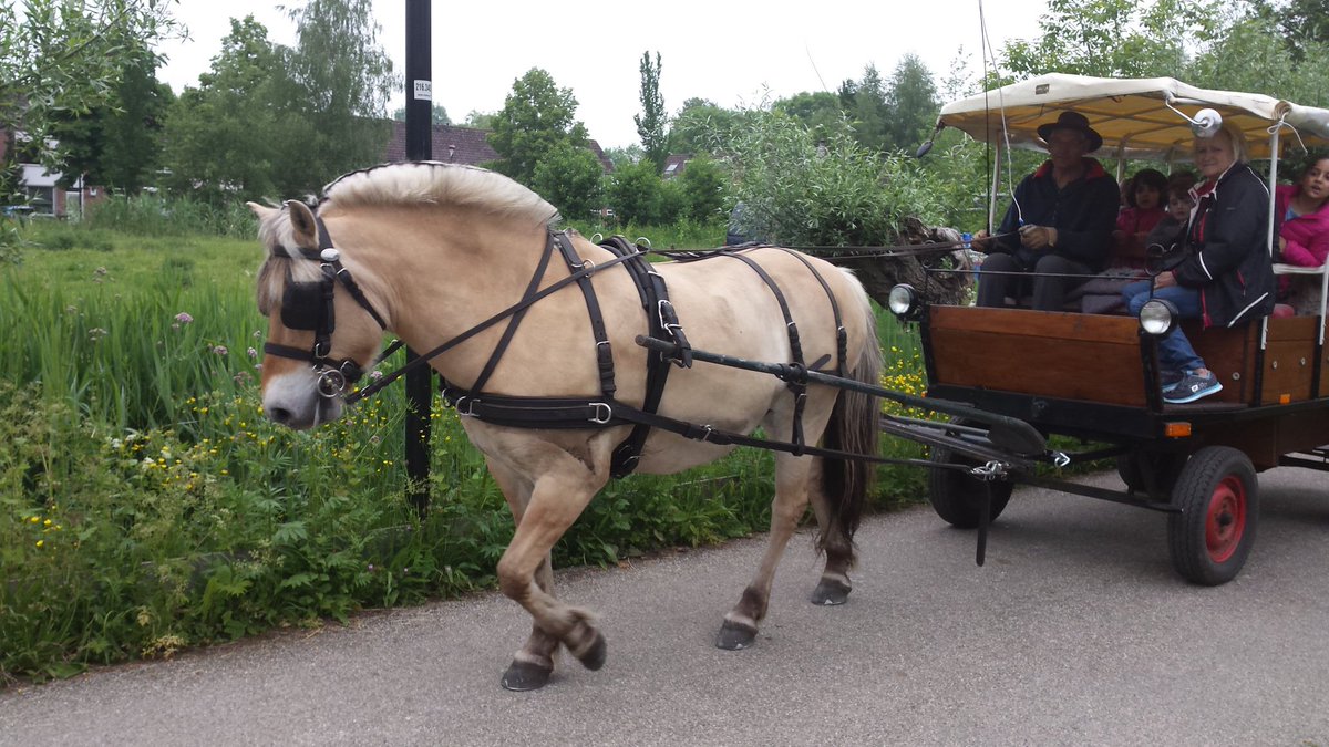 Het waren weer top activiteiten  <a href="/Gem_Nieuwegein/">Gemeente Nieuwegein</a> @FairtradeNgein  hulde voor alle vrijwilligers #lentefeest #natuur