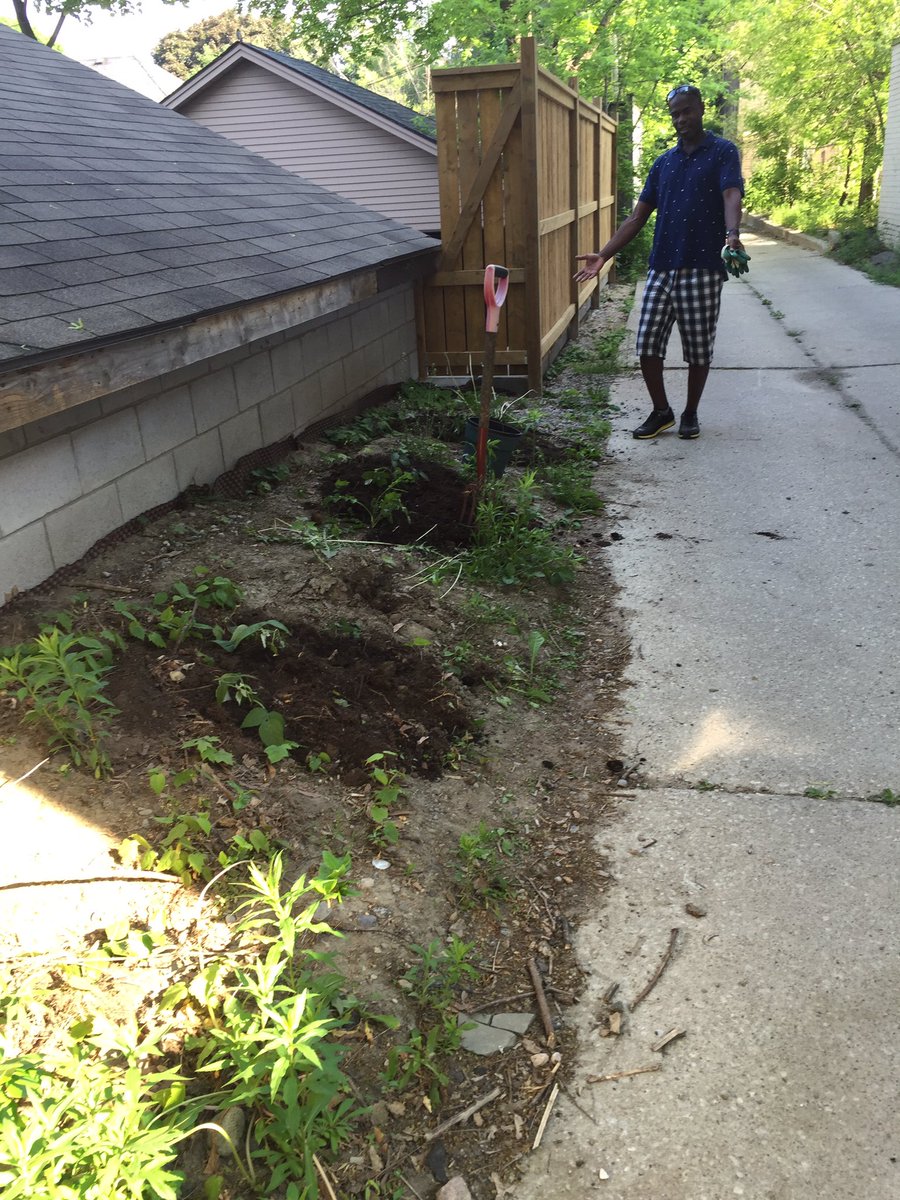 biltonlaneway's tweet photo. Tucked in a little raspberry cane this morning, before the heat. https://t.co/ICdWiHlvxA