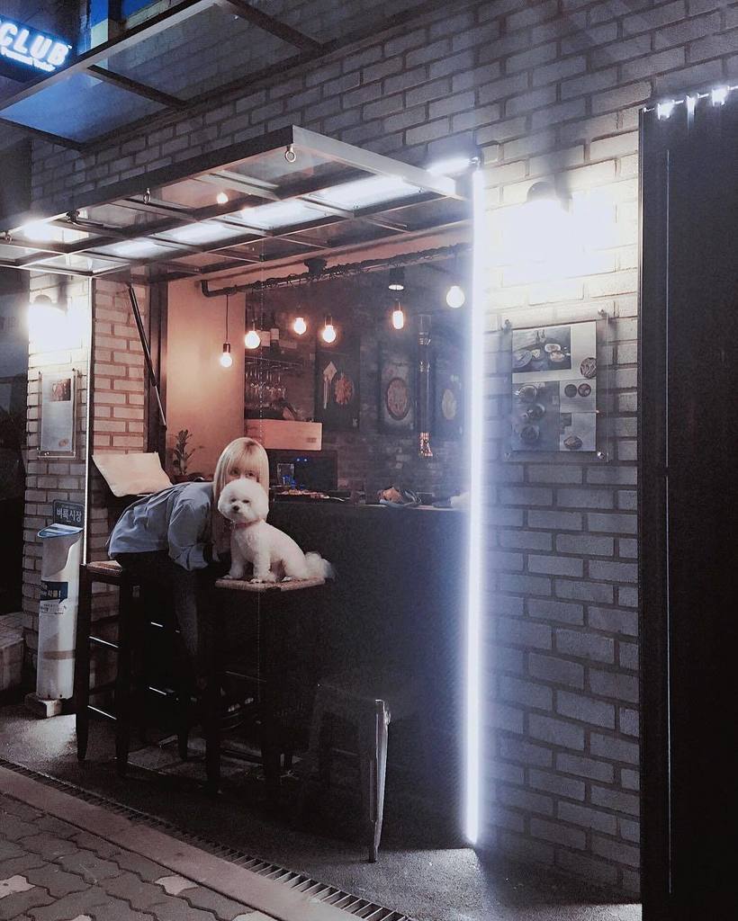 QulWang's tweet photo. [QSTAGRAM] 뚱뚱이 블링이랑~ 양고기 먹으렁~  #양파이#녹사평#맛집#Yangpai https://t.co/9TmwponSMD