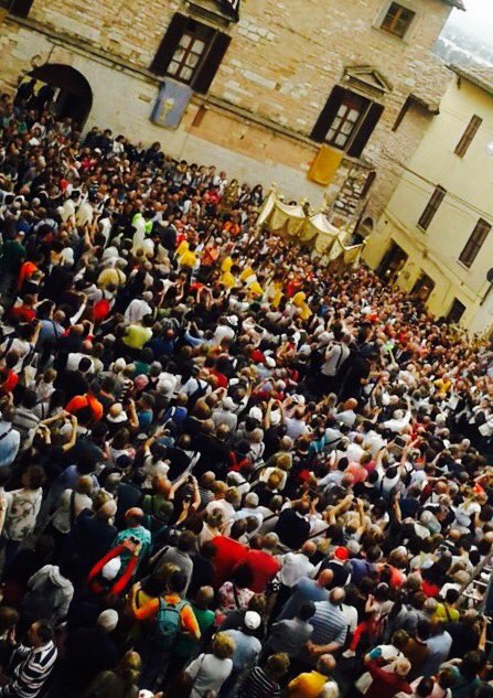 silvia ferrari tweet media