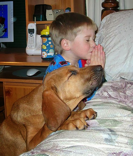 wealthlearning's tweet image. What are your daily habits? 
Here is your list of the most effective daily habits.
 vid.staged.com/hc9s