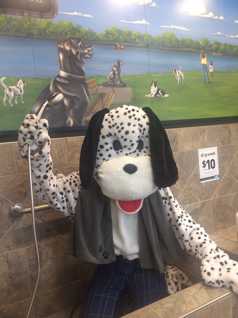 pet valu self serve dog wash