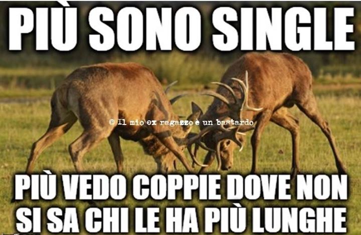 RitaVitello's tweet image. #cornuta #Tradimenti #fintecoppie #mifaipena